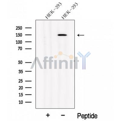 Валидация Affinity DF12674 - 7330