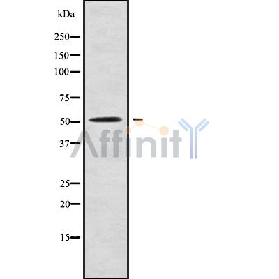 Валидация Affinity DF9631 - 22357