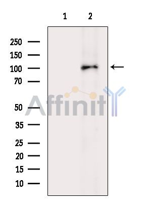 Валидация Affinity DF2674 - 13376