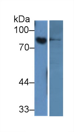 362