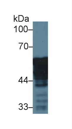 13708
