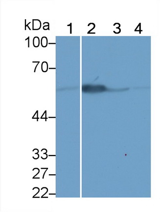 21230