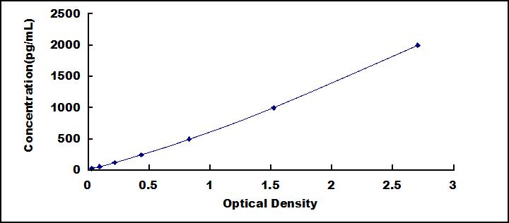 64607