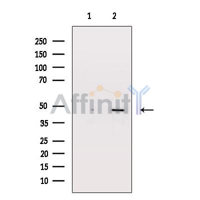 Валидация Affinity DF4948 - 16778