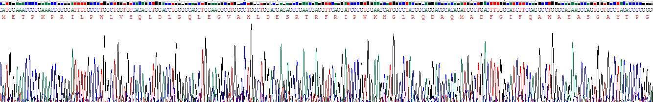 20044