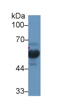13107
