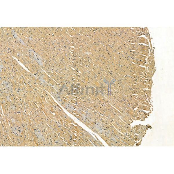Валидация Affinity AF5384 - 3017
