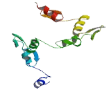 Zinc Finger Protein 710 (ZNF710)