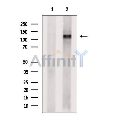 Валидация Affinity DF6735 - 18273