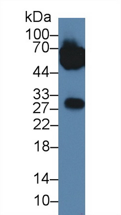 14002