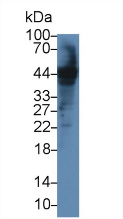 13640