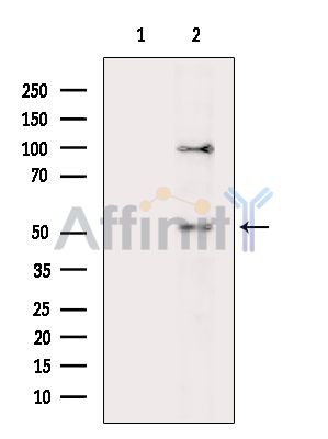 Валидация Affinity DF13958 - 9708