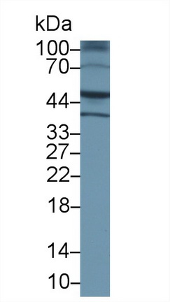 13560