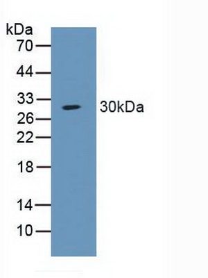 5180