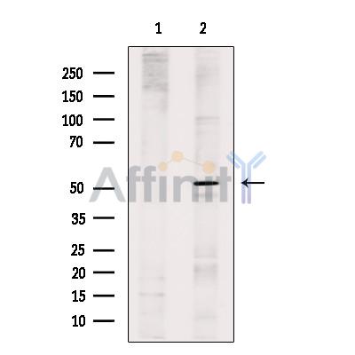 Валидация Affinity DF7118 - 18763