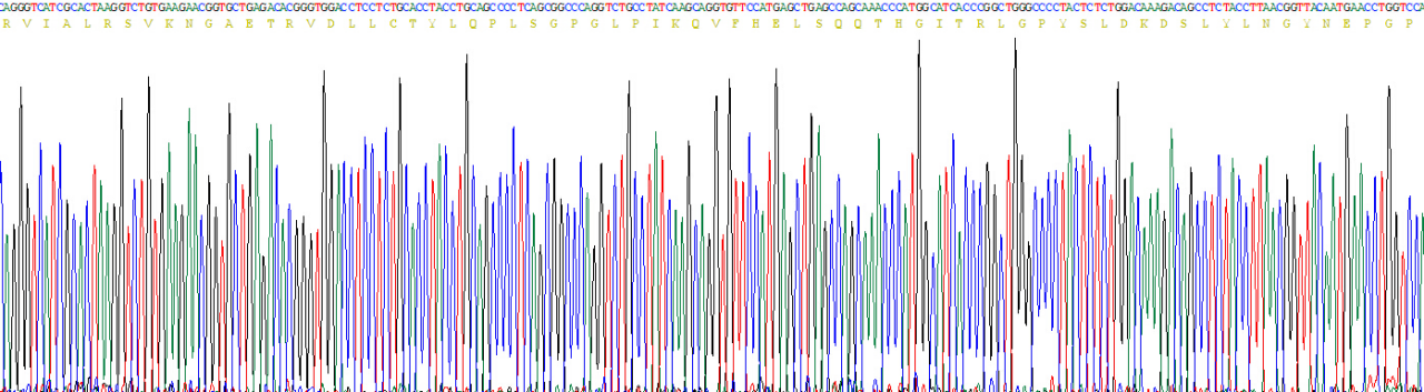 12311