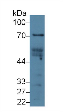 12473