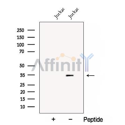 Валидация Affinity DF12903 - 7652