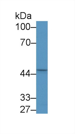 8578