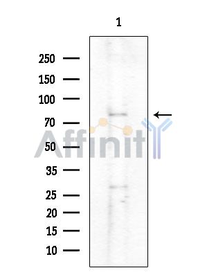 Валидация Affinity DF10278 - 5885