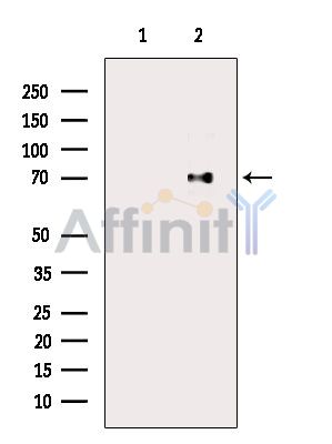 Валидация Affinity DF9939 - 22937
