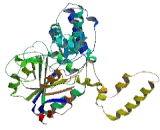 5"-Nucleotidase Domain Containing Protein 2 (NT5DC2)