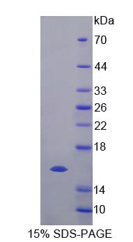 59751