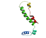 N-Myc Interactor (NMI)