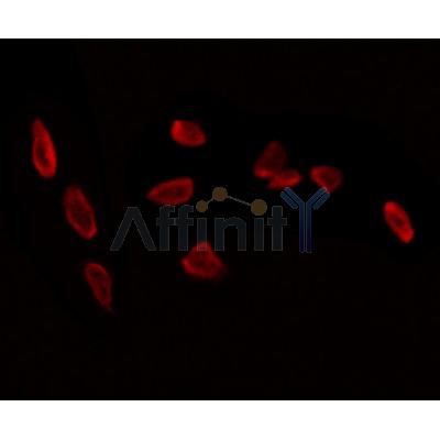 Валидация Affinity DF12502 - 7086