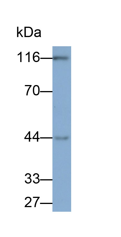 33220