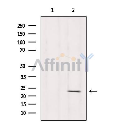 Валидация Affinity DF3687 - 14706