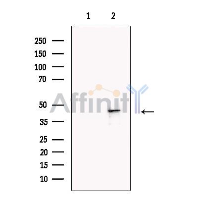 Валидация Affinity DF13469 - 8824