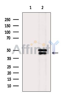 Валидация Affinity DF15187 - 11459