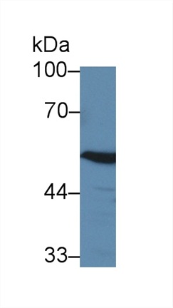 8871