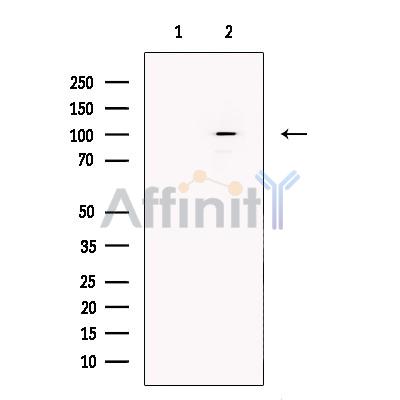 Валидация Affinity DF13592 - 9075