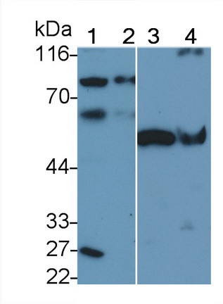 9501
