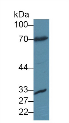 8510