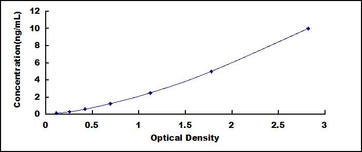 58806