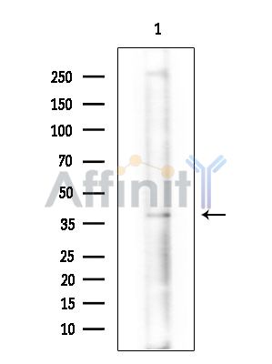 Валидация Affinity DF16052 - 12607