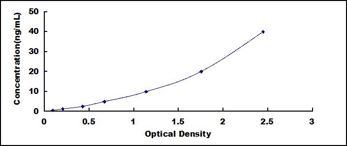 42096