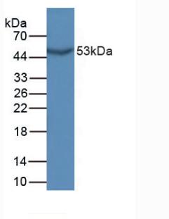 5895