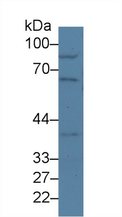 9399