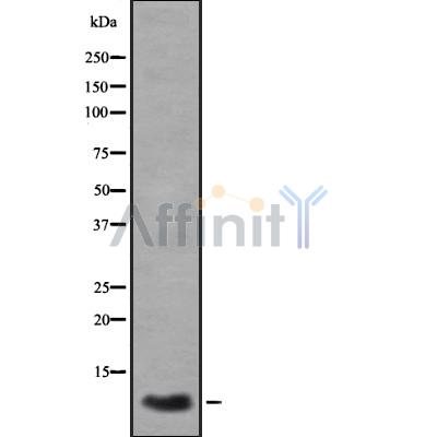 Валидация Affinity DF8554 - 20447