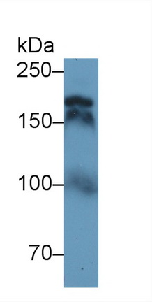 9361