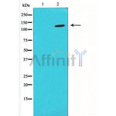 Валидация Affinity DF4721 - 16415