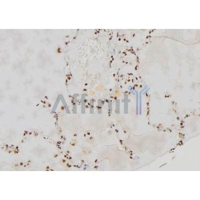Валидация Affinity DF7349 - 19057