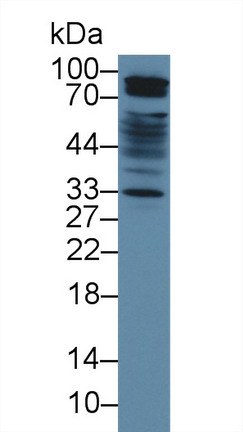 9845