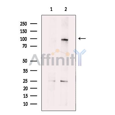 Валидация Affinity DF12327 - 6734