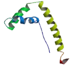 High Mobility Group Protein 1 (HMG1)