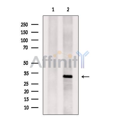 Валидация Affinity DF6758 - 18314